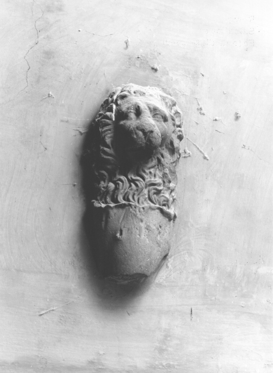 protome leonina (scultura) - ambito romano (fine sec. XV)