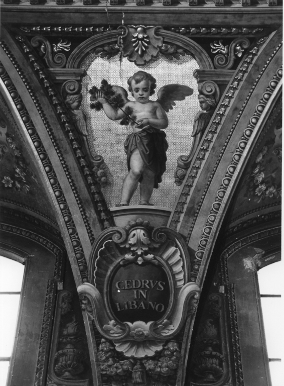 angioletto con il cedro del Libano (dipinto, elemento d'insieme) di Mariani Cesare (attribuito) (sec. XIX)