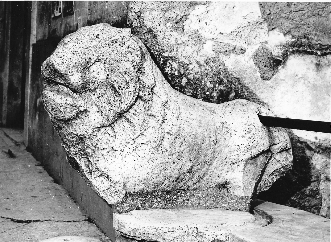 leone (scultura) - ambito laziale (secc. XIII/ XIV)