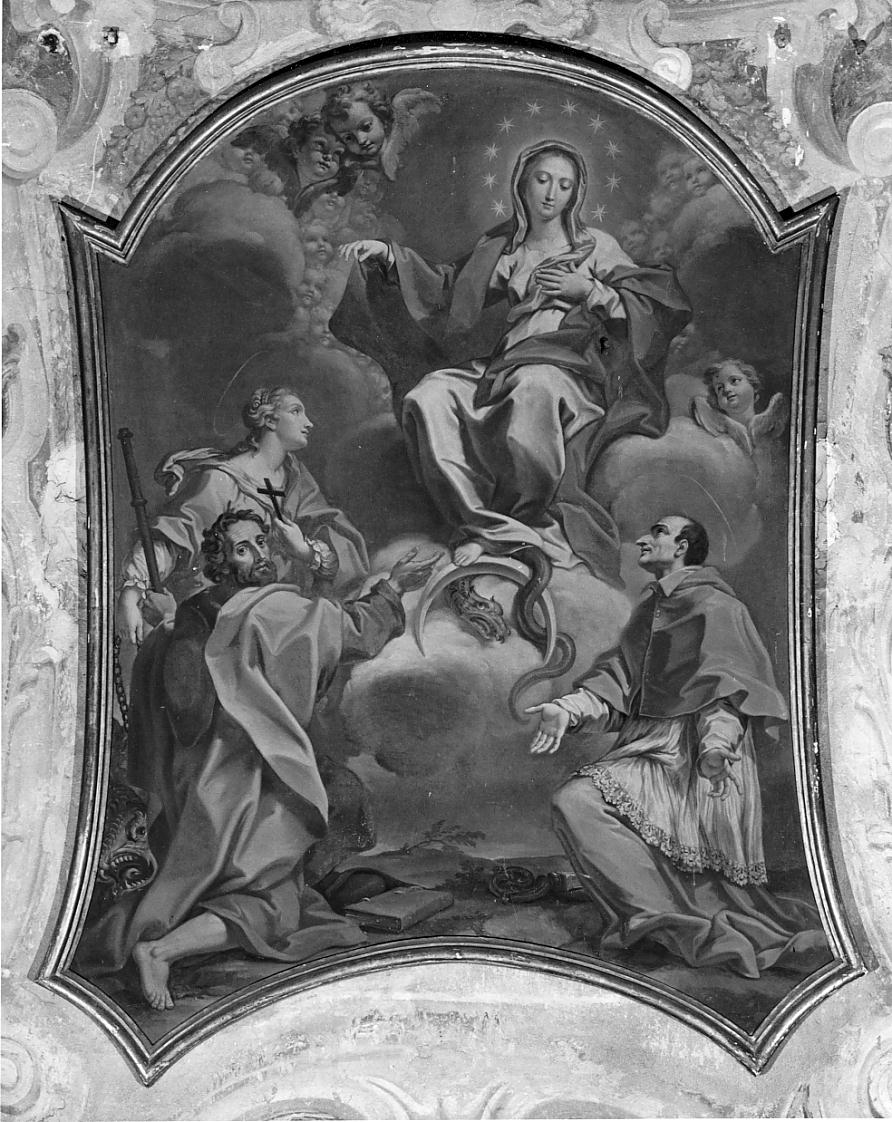 Immacolata Concezione e santi (dipinto, opera isolata) di Massarotti Angelo (sec. XVIII)