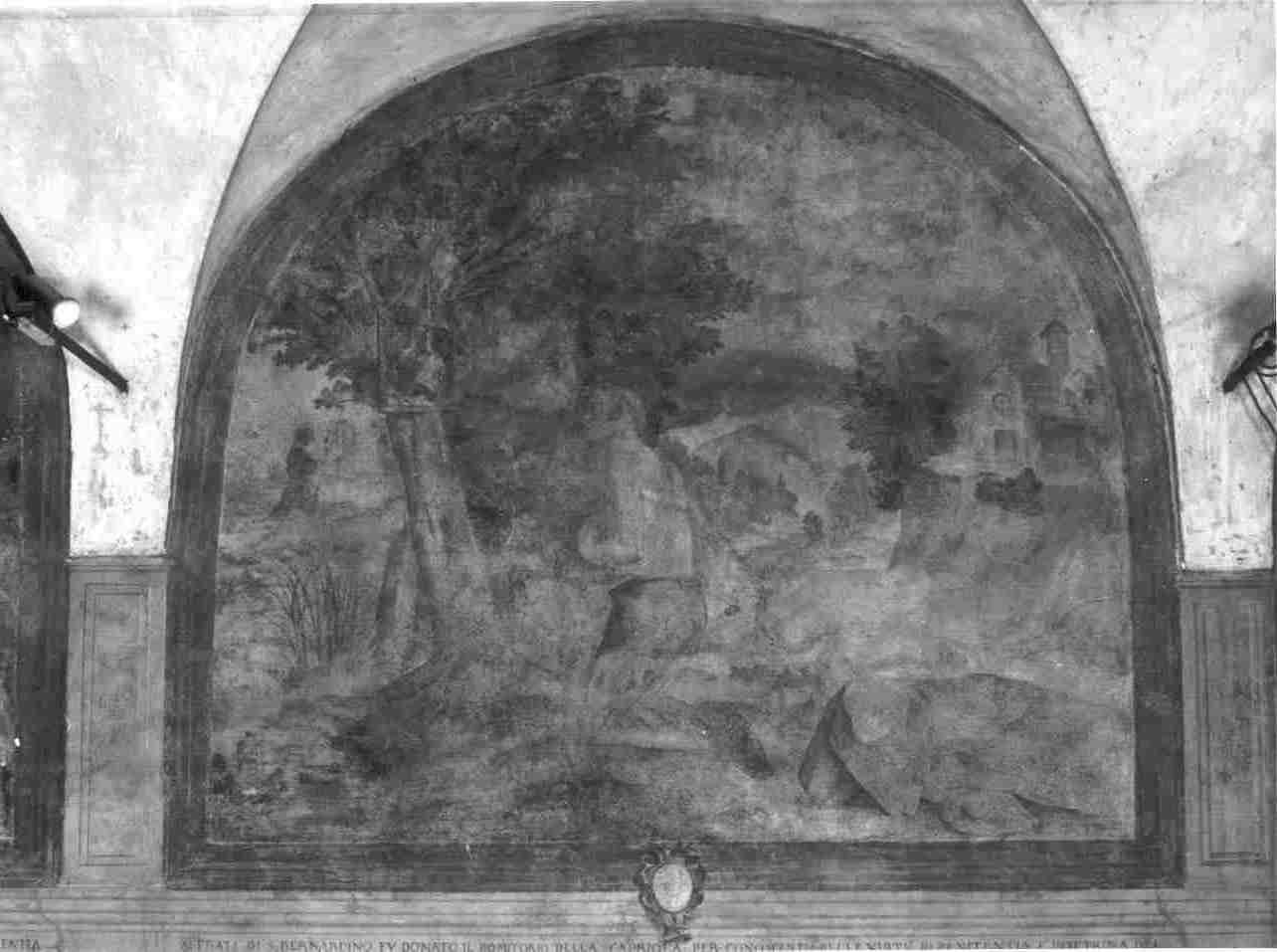 San Bernardino da Siena in preghiera nel romitorio della Capriola (dipinto, opera isolata) - ambito bresciano (inizio sec. XVII)