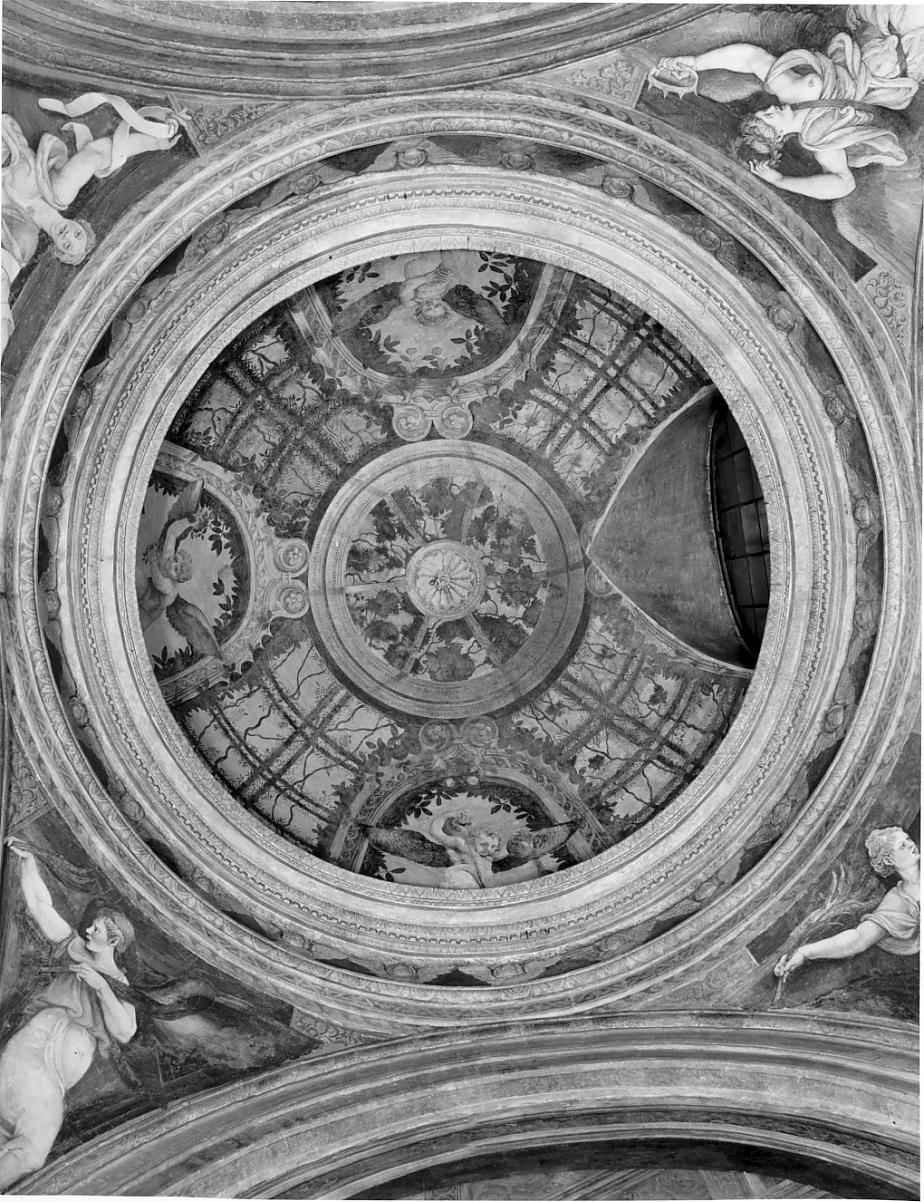 motivi decorativi (decorazione pittorica, complesso decorativo) di Rinaldo Mantovano (attribuito) (sec. XVI, sec. XVI)