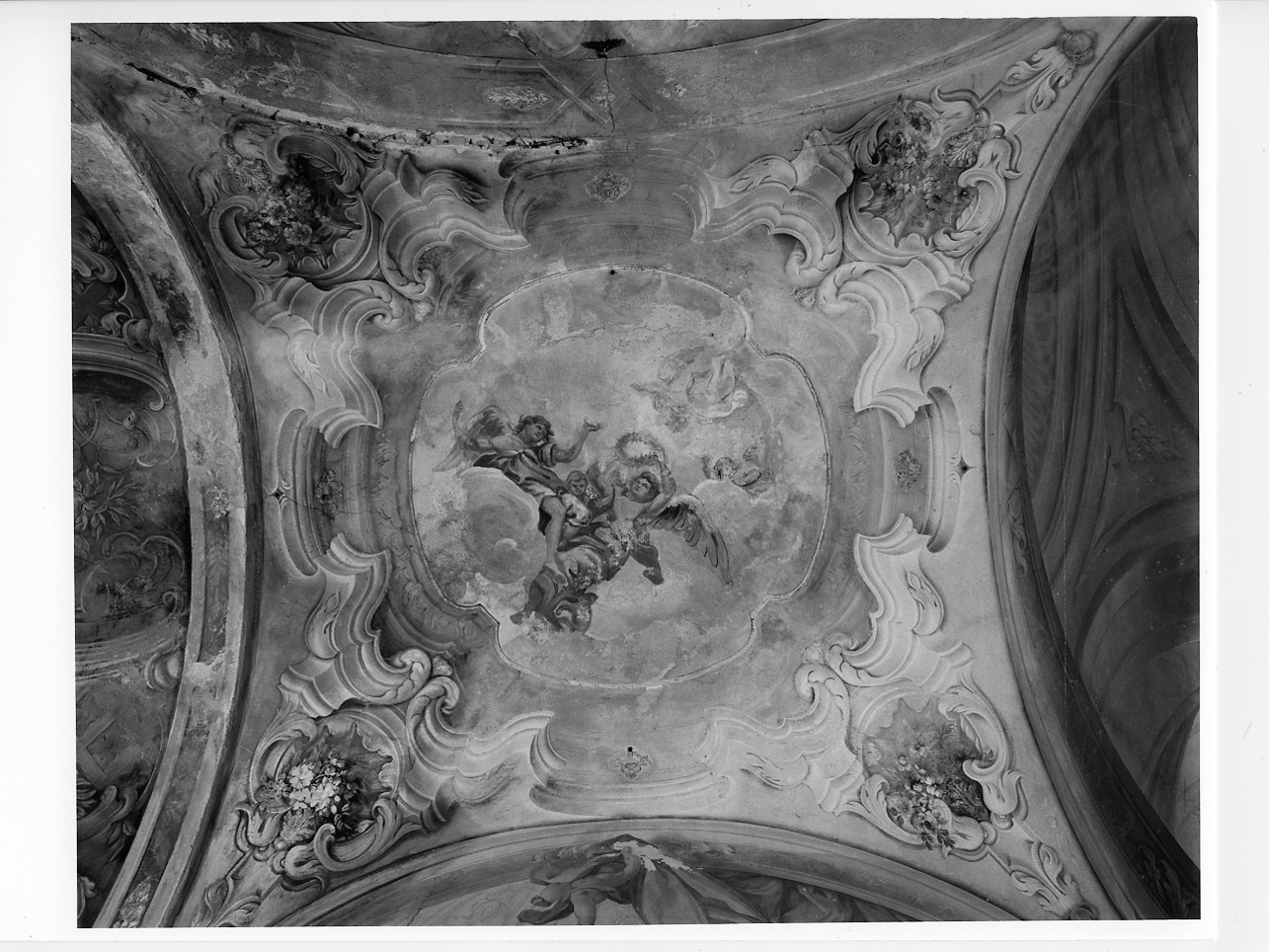 Motivi decorativi floreali, fitomorfi e geometrici (dipinto, elemento d'insieme) di Sassi Giovanni Battista (e aiuti) (secondo quarto sec. XVIII)