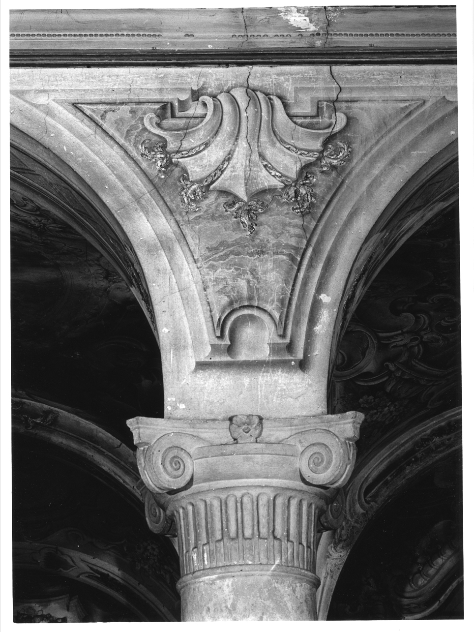 motivo decorativo geometrico e a conchiglia (dipinto, elemento d'insieme) di Sassi Giovanni Battista (e aiuti) (secondo quarto sec. XVIII)