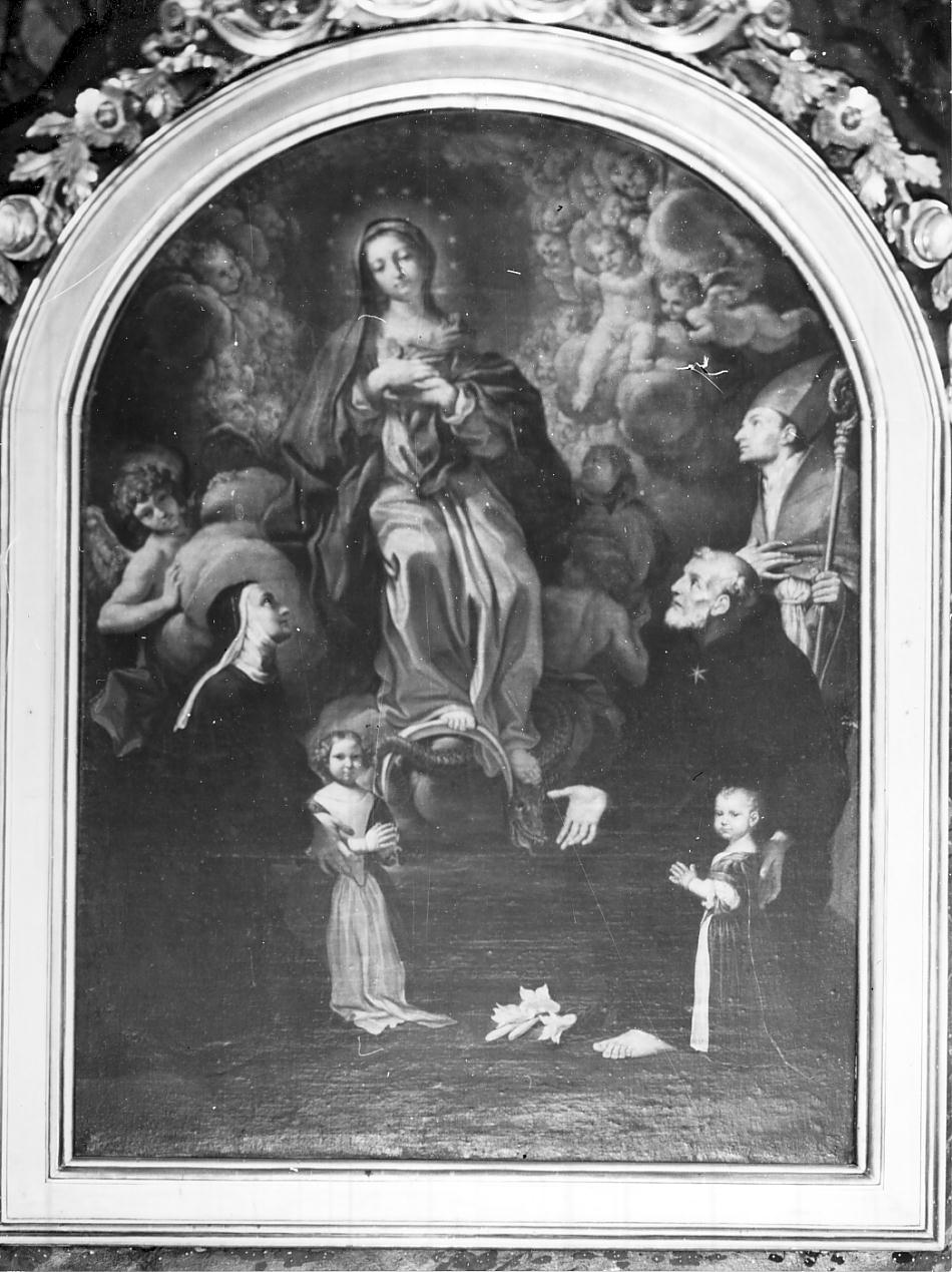 Immacolata Concezione e santi (dipinto, opera isolata) di Massarotti Angelo (fine sec. XVII)