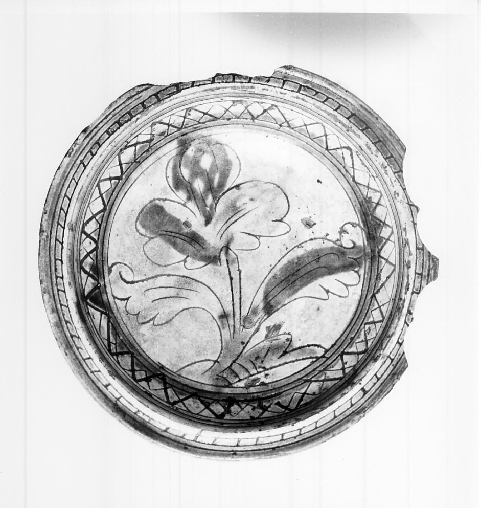 motivo decorativo fitomorfo (piatto, opera isolata) - manifattura padana (sec. XVI)