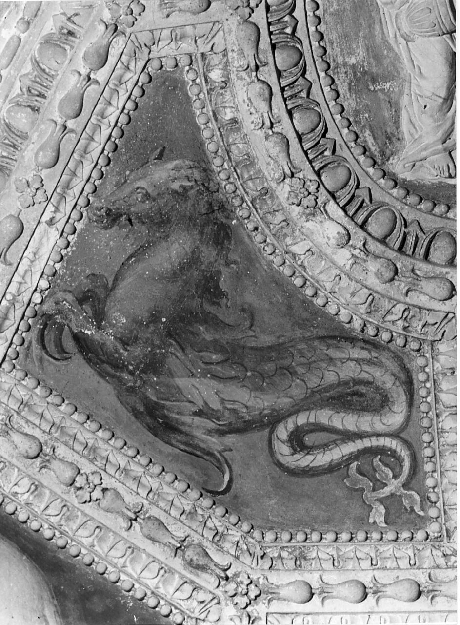 Ippocampi (dipinto, coppia) di Campi Bernardino (attribuito) (sec. XVI)
