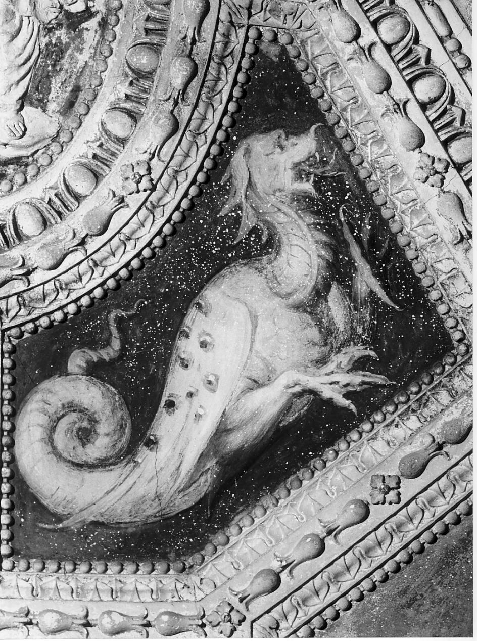 draghi (dipinto, coppia) di Campi Bernardino (attribuito) (sec. XVI)