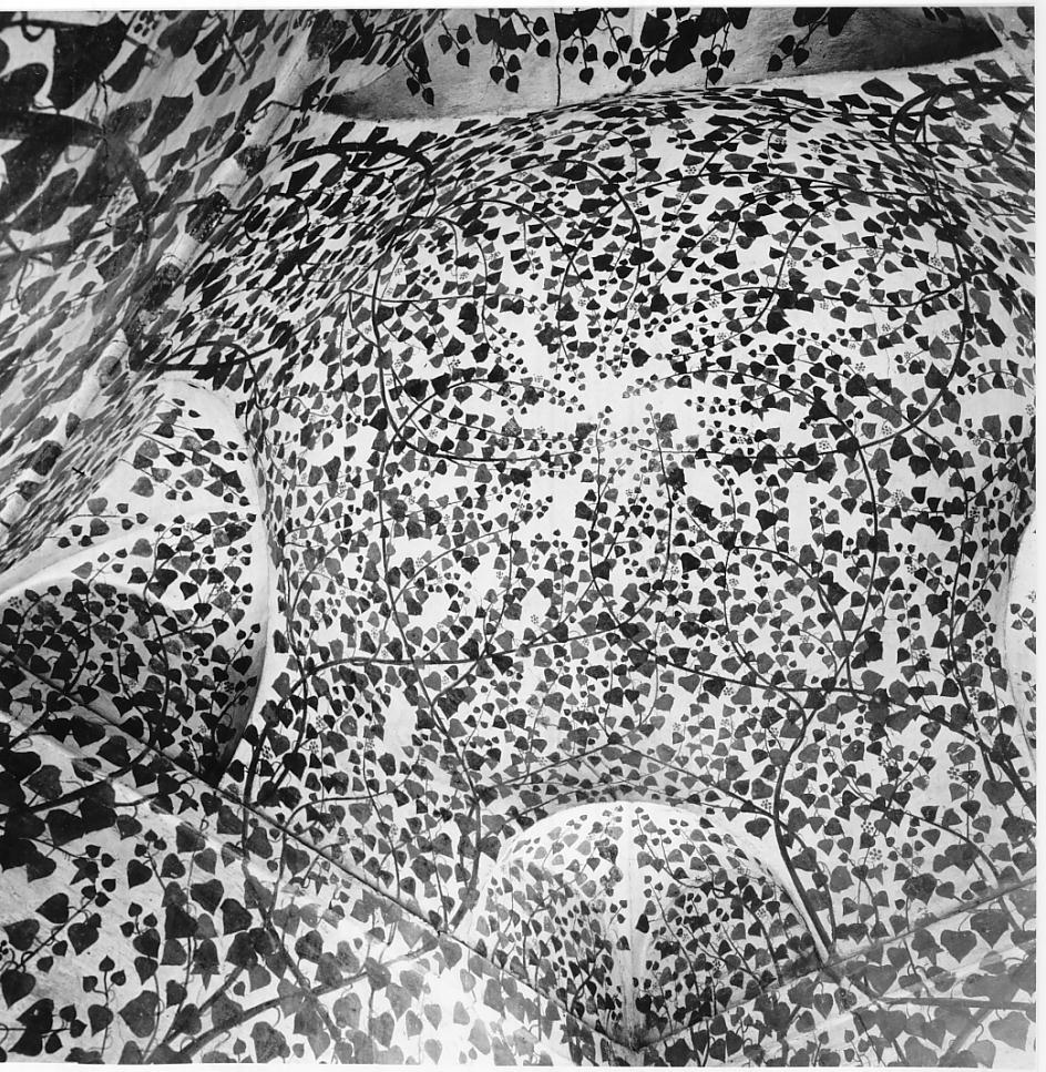 intreccio di rami e foglie d'edera (decorazione pittorica, insieme) di Campi Bernardino (cerchia) (seconda metà sec. XVI)