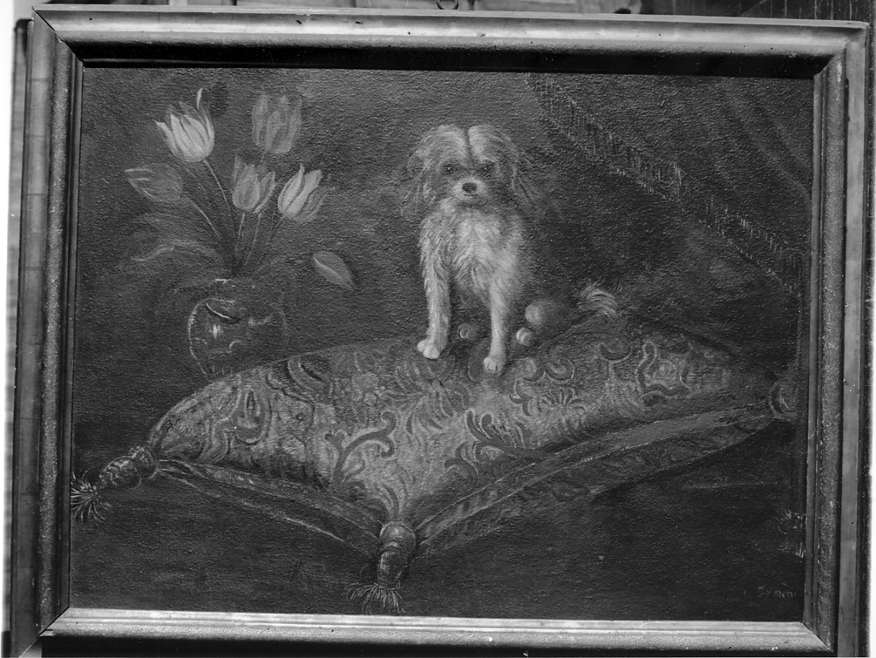 natura morta con cane (dipinto, opera isolata) di D'Arco Giovanna (prima metà sec. XX)