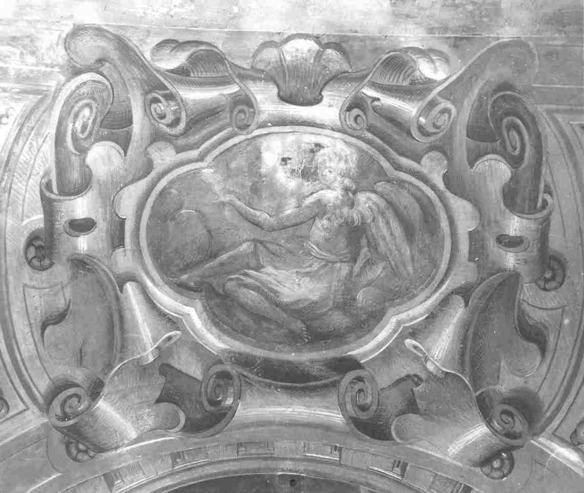 angelo (dipinto, opera isolata) di Gandini Bernardino (attribuito) (sec. XVII)