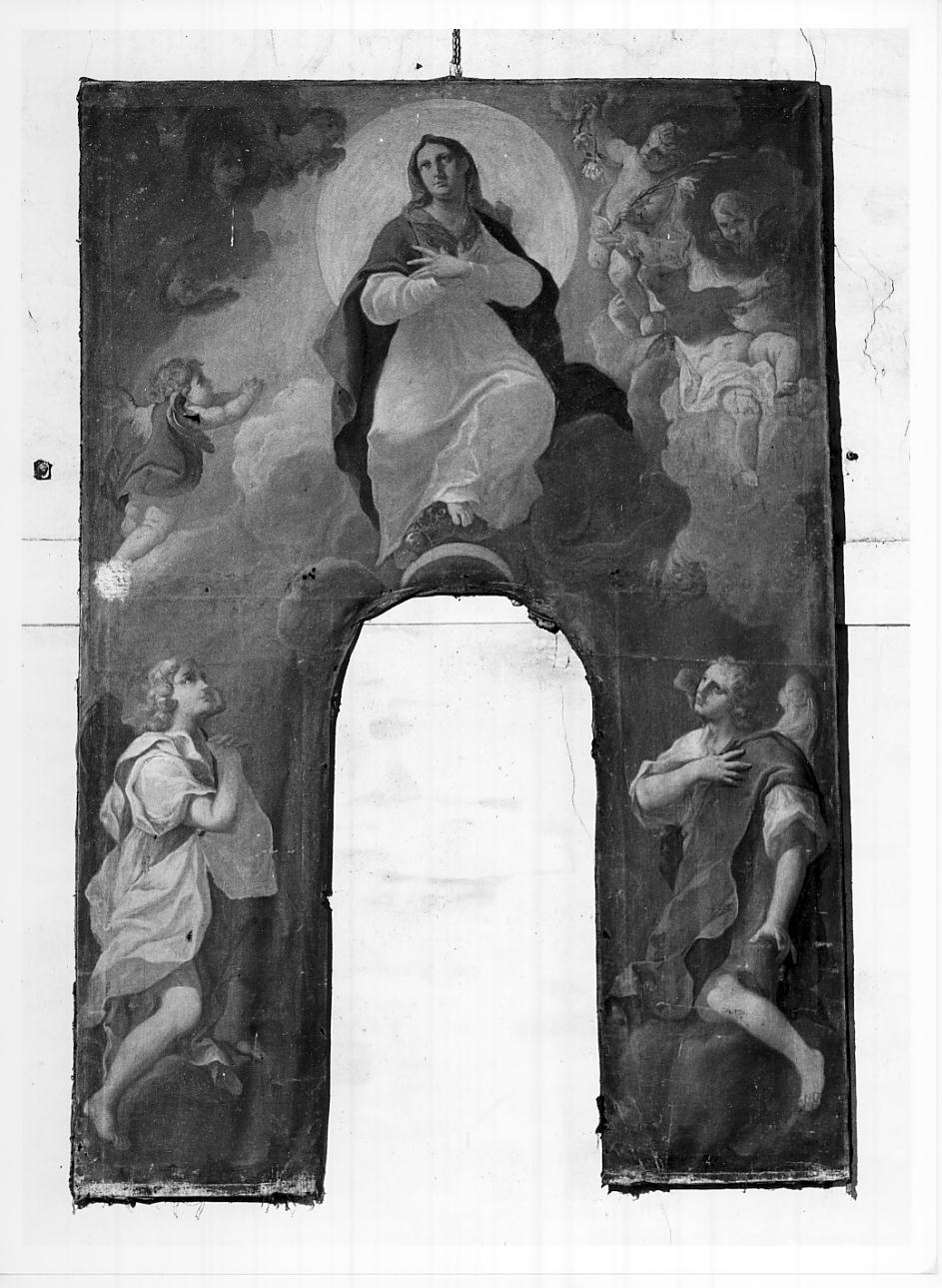 Immacolata Concezione/ Angeli (dipinto, opera isolata) di Tortelli Giuseppe (prima metà sec. XVIII)