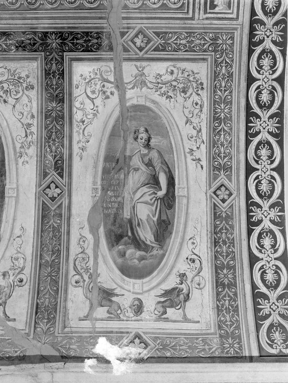Sibilla (?)/Motivi decorativi a grottesche/fitomorfi (dipinto murale, elemento d'insieme) - ambito cremonese (sec. XVIII)