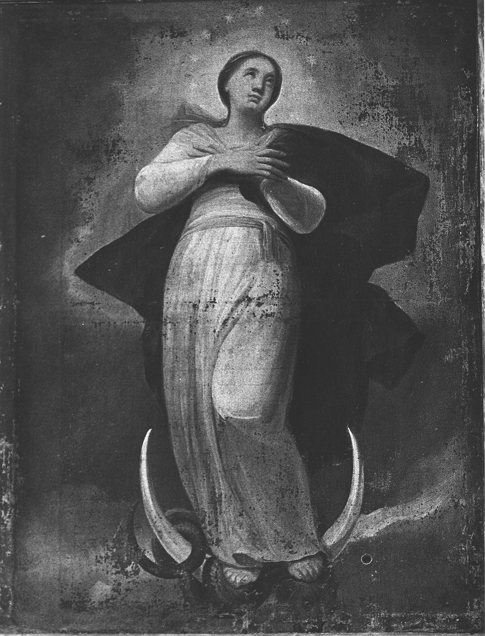 Immacolata Concezione (dipinto, opera isolata) - ambito italiano (sec. XVIII)