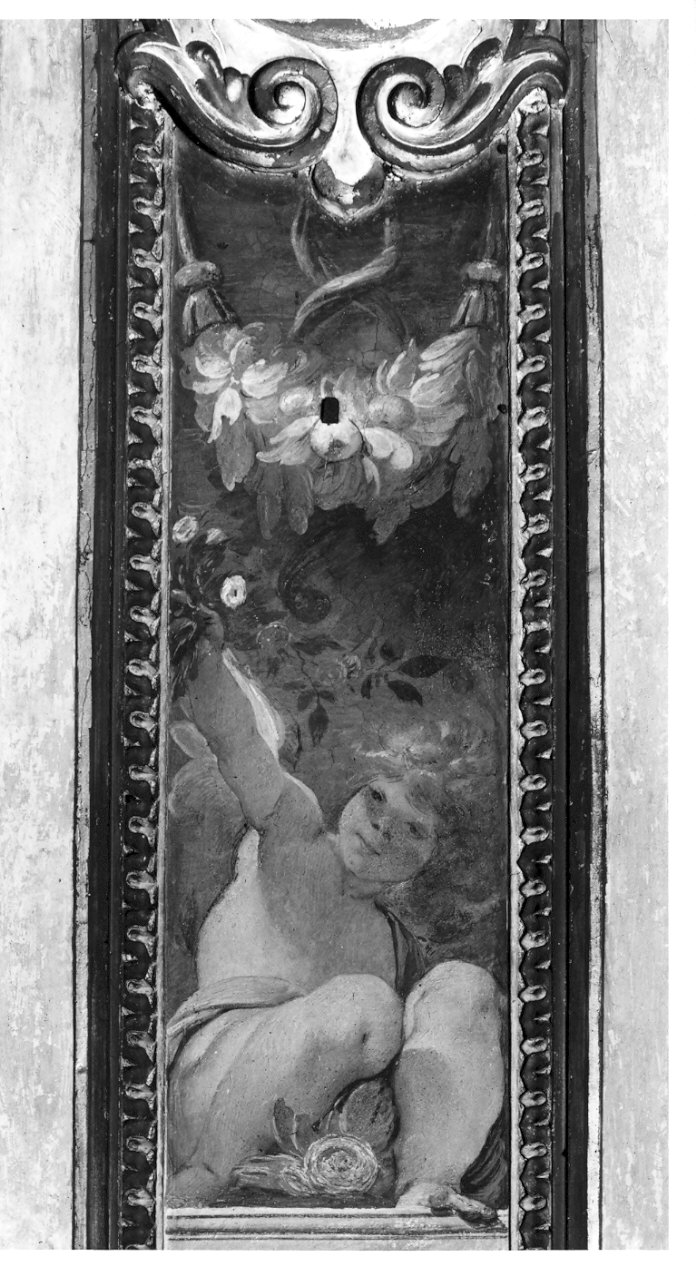angeli e motivi decorativi fitomorfi (dipinto, serie) di Mazzucchelli Pier Francesco detto Morazzone (sec. XVII)