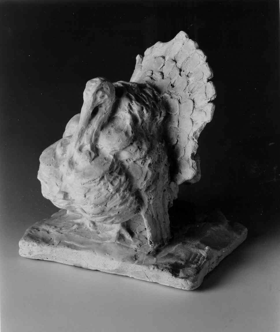 Tacchino, tacchino (scultura, opera isolata) di Ricci Giovanni Battista (secondo quarto sec. XX)