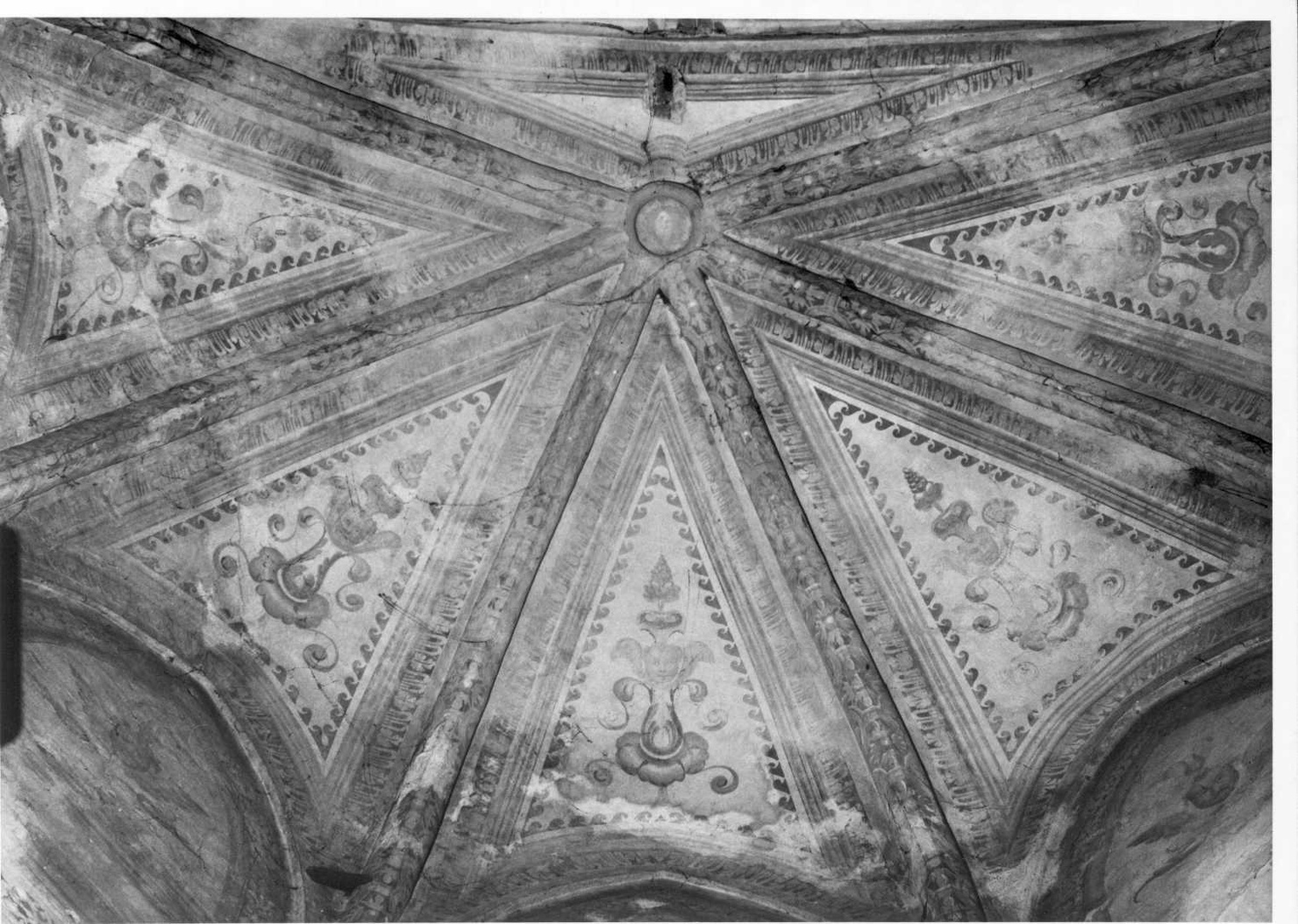motivi decorativi geometrici e vegetali (dipinto, complesso decorativo) - ambito lombardo (fine sec. XVI)