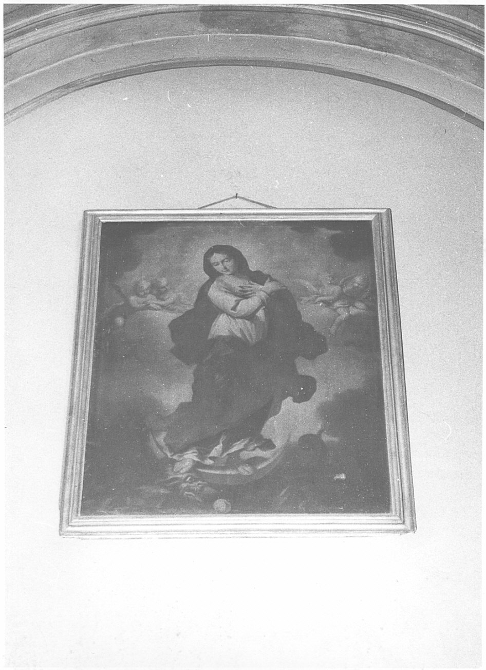 Immacolata Concezione (dipinto, opera isolata) di Crastona Giuseppe (attribuito) (seconda metà sec. XVII)