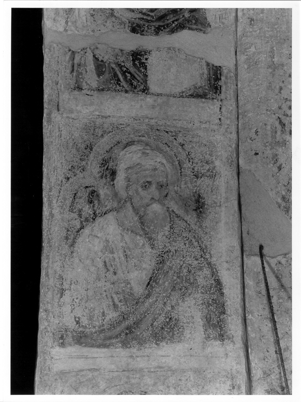 profeta (dipinto, elemento d'insieme) di De Passeris Andrea (attribuito) (inizio sec. XVI)
