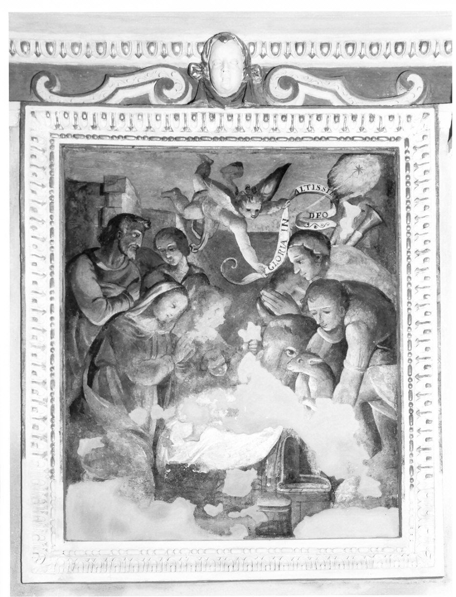 natività di Gesù (dipinto, elemento d'insieme) di Conconi Turildo (scuola) (sec. XVII)