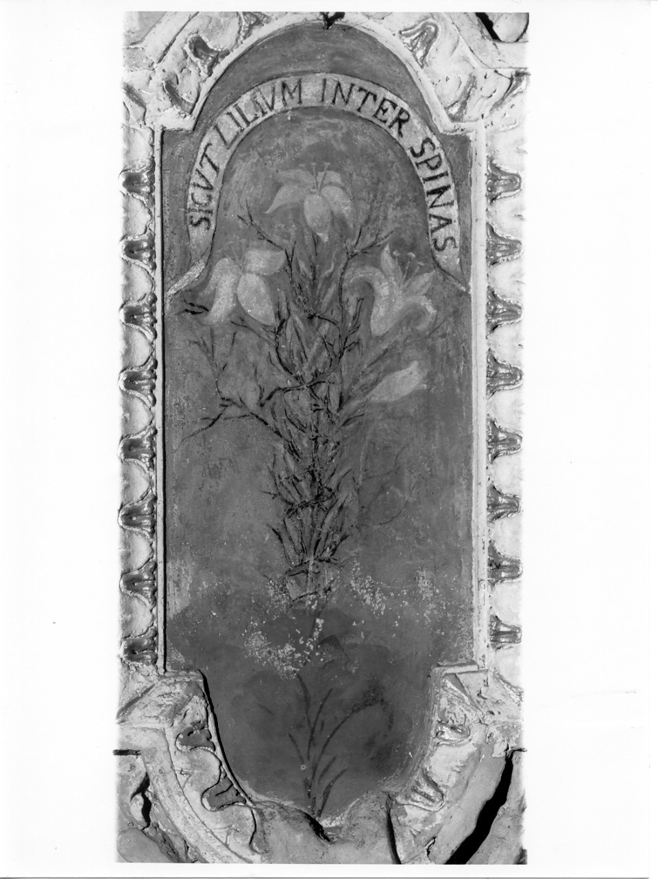 simboli mariani: gigli (dipinto, elemento d'insieme) - ambito lombardo (inizio sec. XVII)