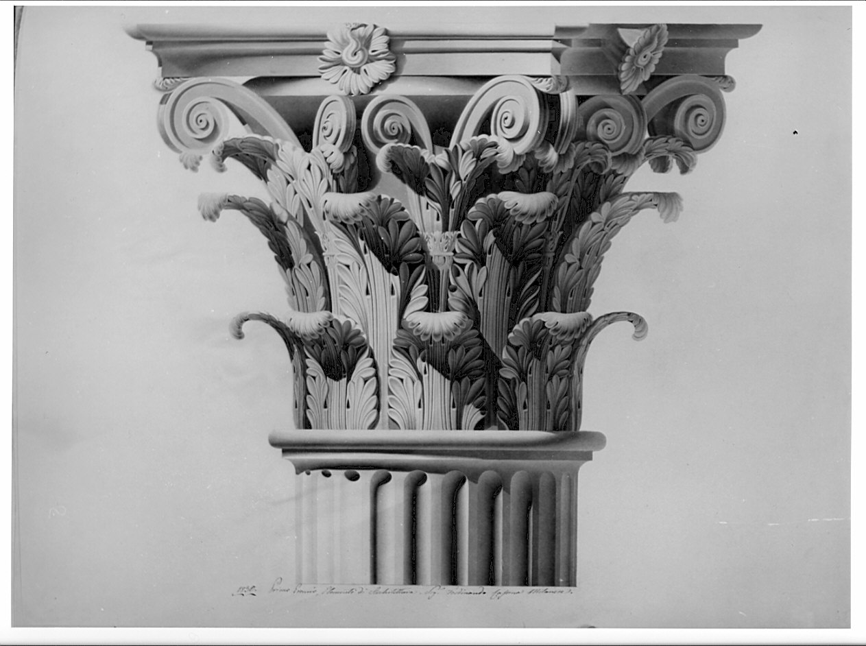 prospetto in fuori angolo, architettura: rilievo di capitello corinzio (disegno, opera isolata) di Cassina Ferdinando (sec. XIX)