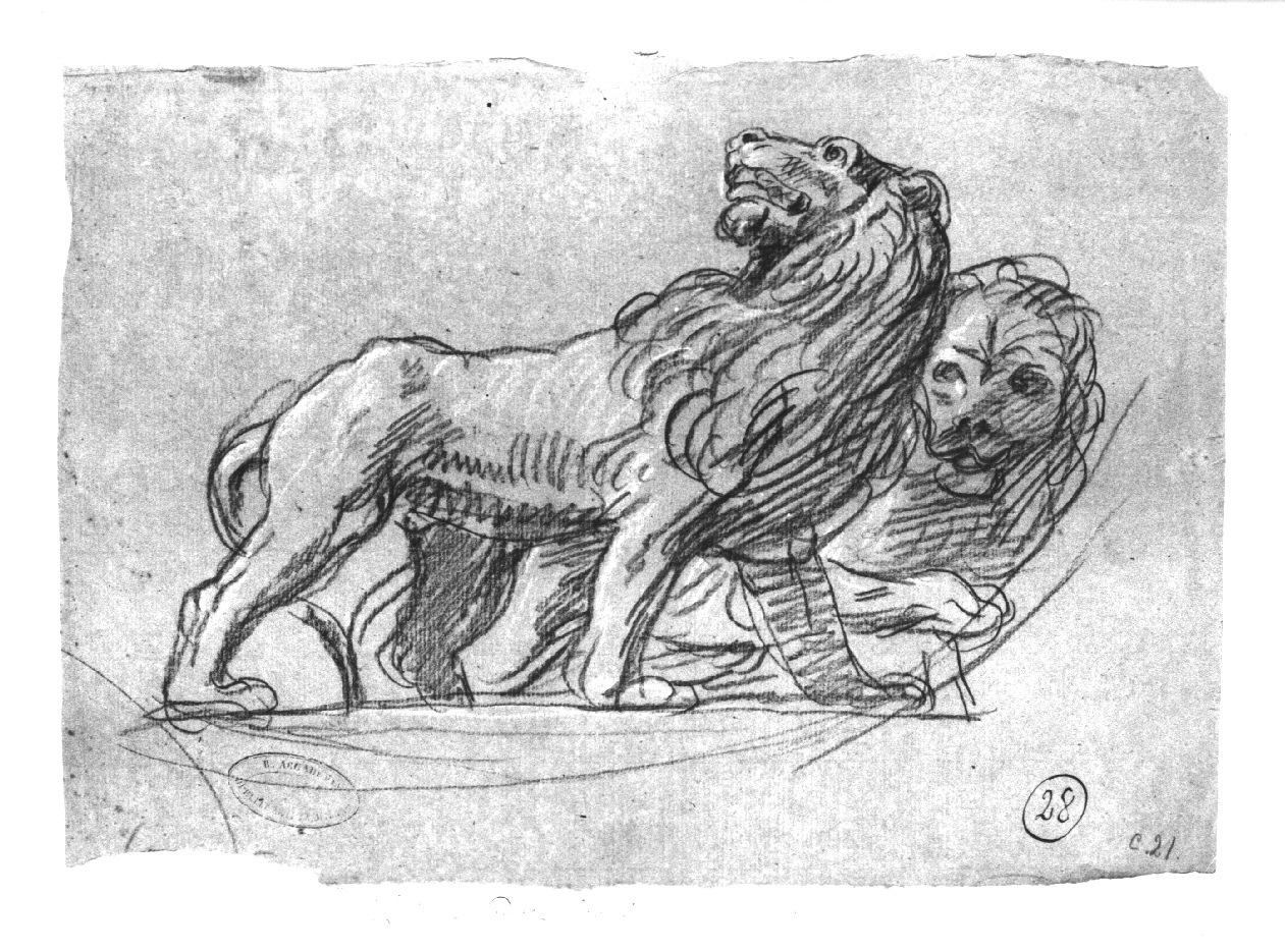 Due leoni, due leoni (disegno, opera isolata) di Appiani Andrea (inizio sec. XIX)