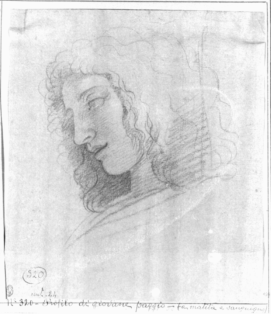 Testa di giovane di profilo, testa maschile di profilo (disegno, opera isolata) di Appiani Andrea (sec. XVIII)
