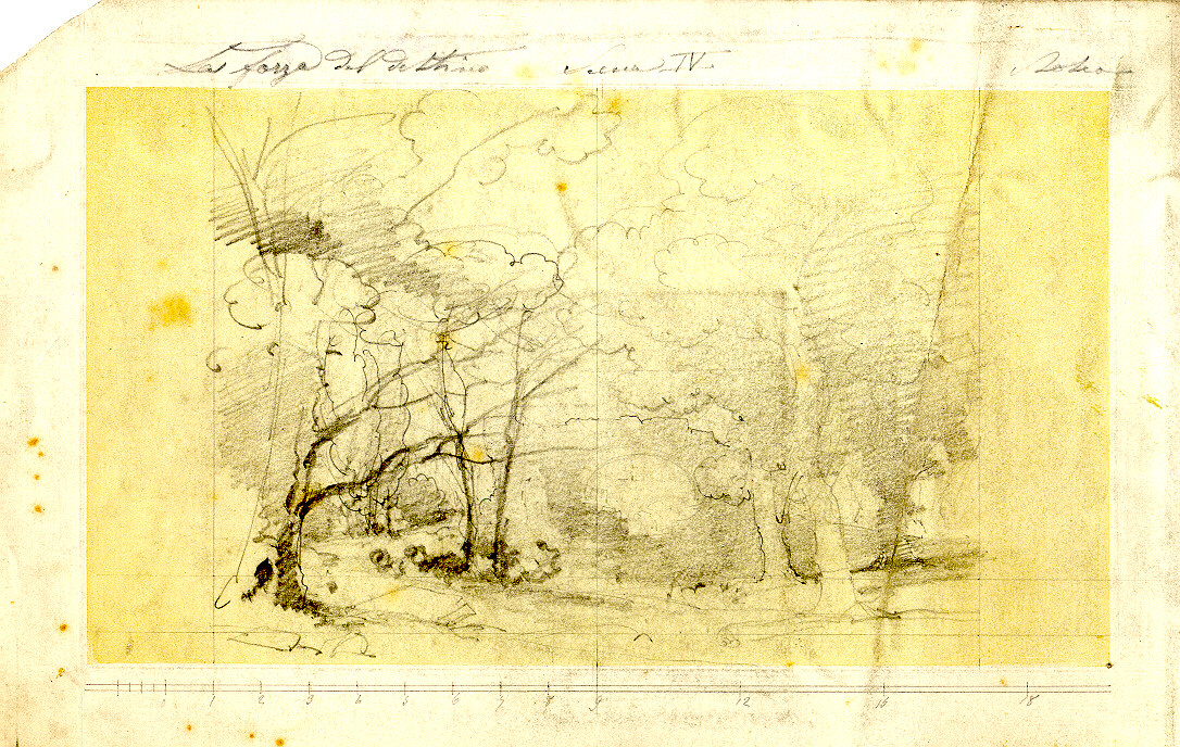 Bosco, paesaggio con alberi (disegno, opera isolata) di Ferrario Carlo (sec. XIX)