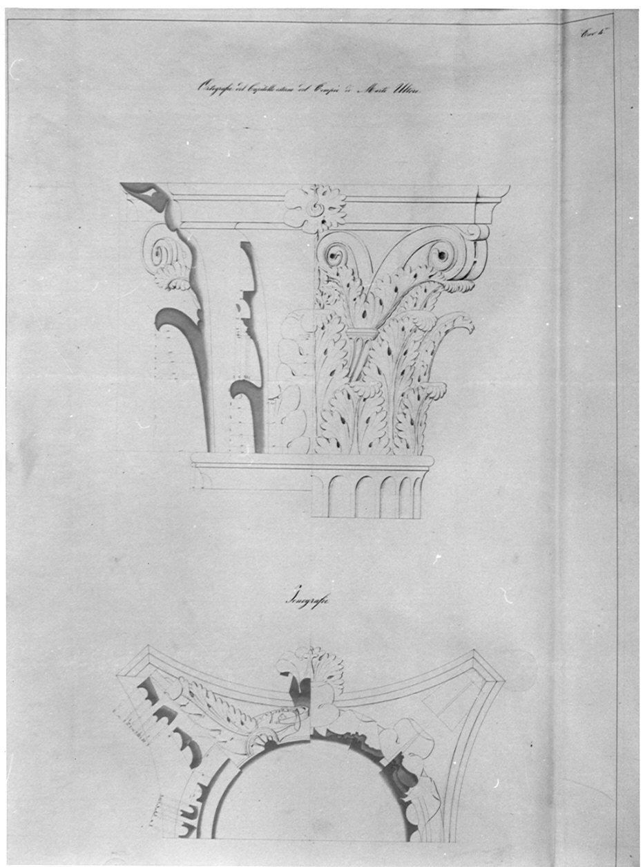 Prospetto e sezione di capitello, architettura: tempio di Marte Ultore (disegno, opera isolata) di Franzini Bartolomeo (sec. XIX)