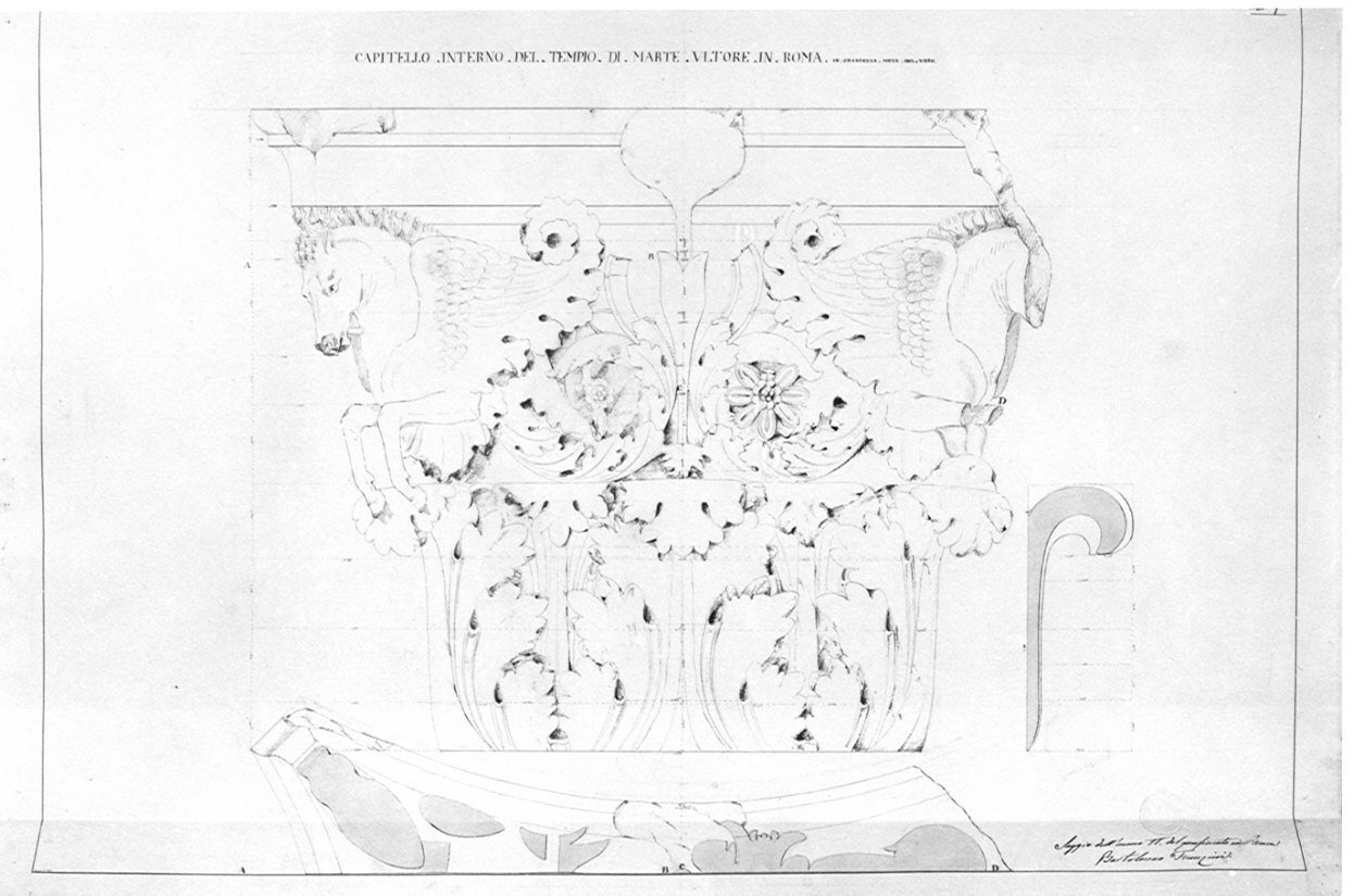 Rilievo di capitello (prospetto e sezione), architettura: Tempio di Marte Ultore (disegno, opera isolata) di Franzini Bartolomeo (sec. XIX)