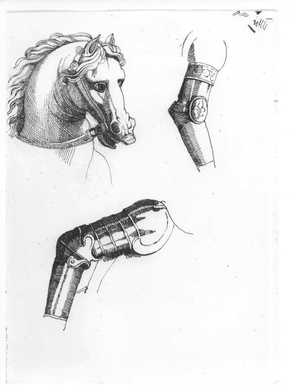 testa di cavallo con armatura (disegno, opera isolata) di Cosway Hadfield Maria (sec. XIX)