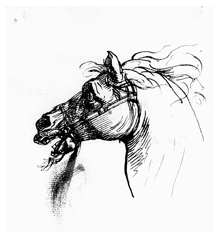 testa di cavallo (disegno, opera isolata) di Cosway Richard (seconda metà sec. XVIII)