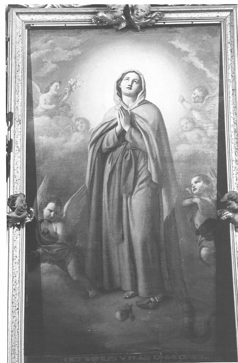 Madonna Immacolata (dipinto, opera isolata) di Guadagnini Antonio (metà sec. XIX)