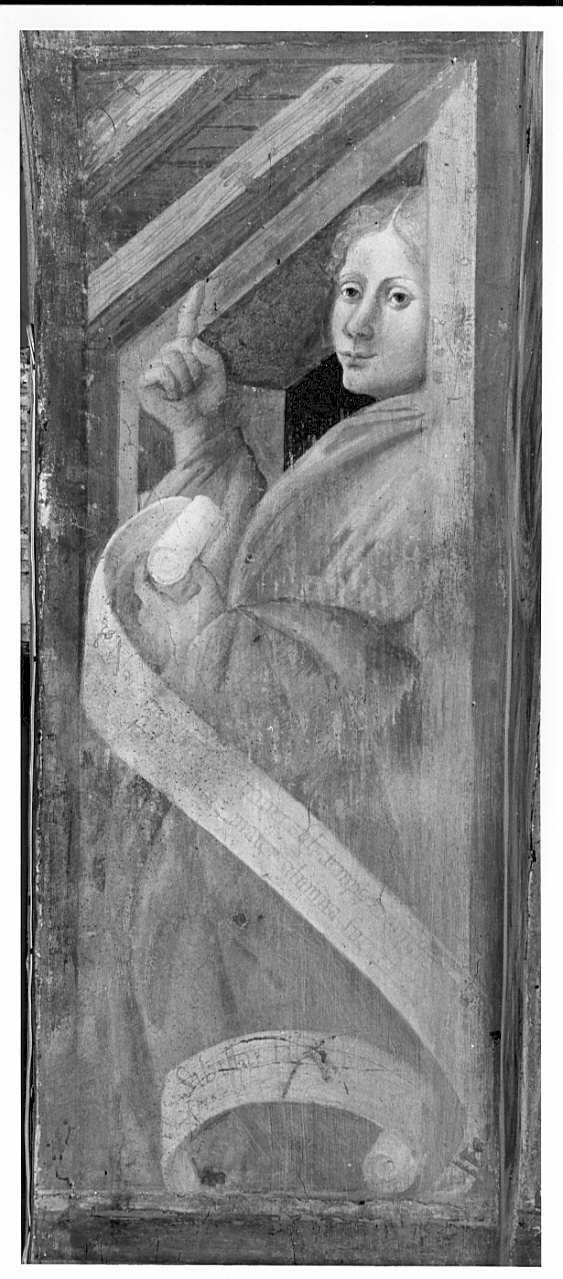 Sibilla Libia (dipinto, elemento d'insieme) di Stella Fermo detto Fermo da Caravaggio (sec. XVI)