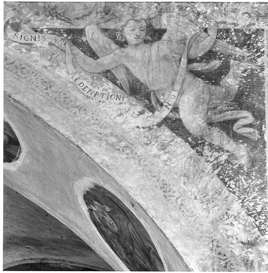 angelo con cartiglio (dipinto, elemento d'insieme) - ambito bergamasco (fine/inizio secc. XVI/ XVII)