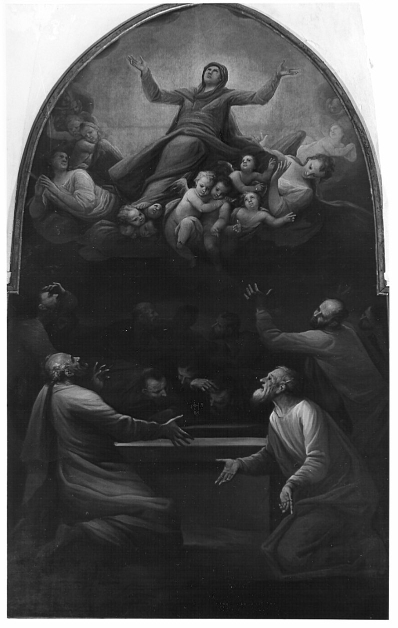 assunzione della Madonna (dipinto, opera isolata) di Cifrondi Antonio (fine/inizio secc. XVII/ XVIII)