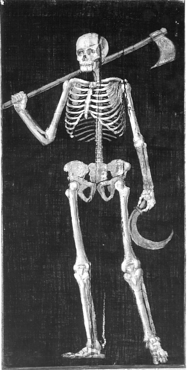 scheletro (dipinto, opera isolata) - ambito bergamasco (seconda metà sec. XVIII)