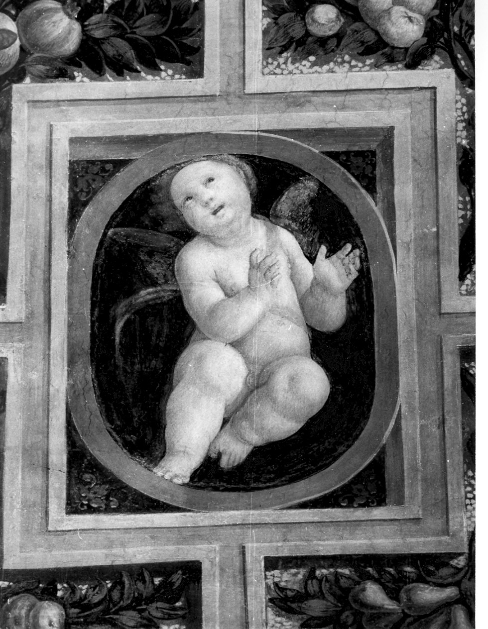 putto alato (dipinto, opera isolata) di Lanino Bernardino (sec. XVI)