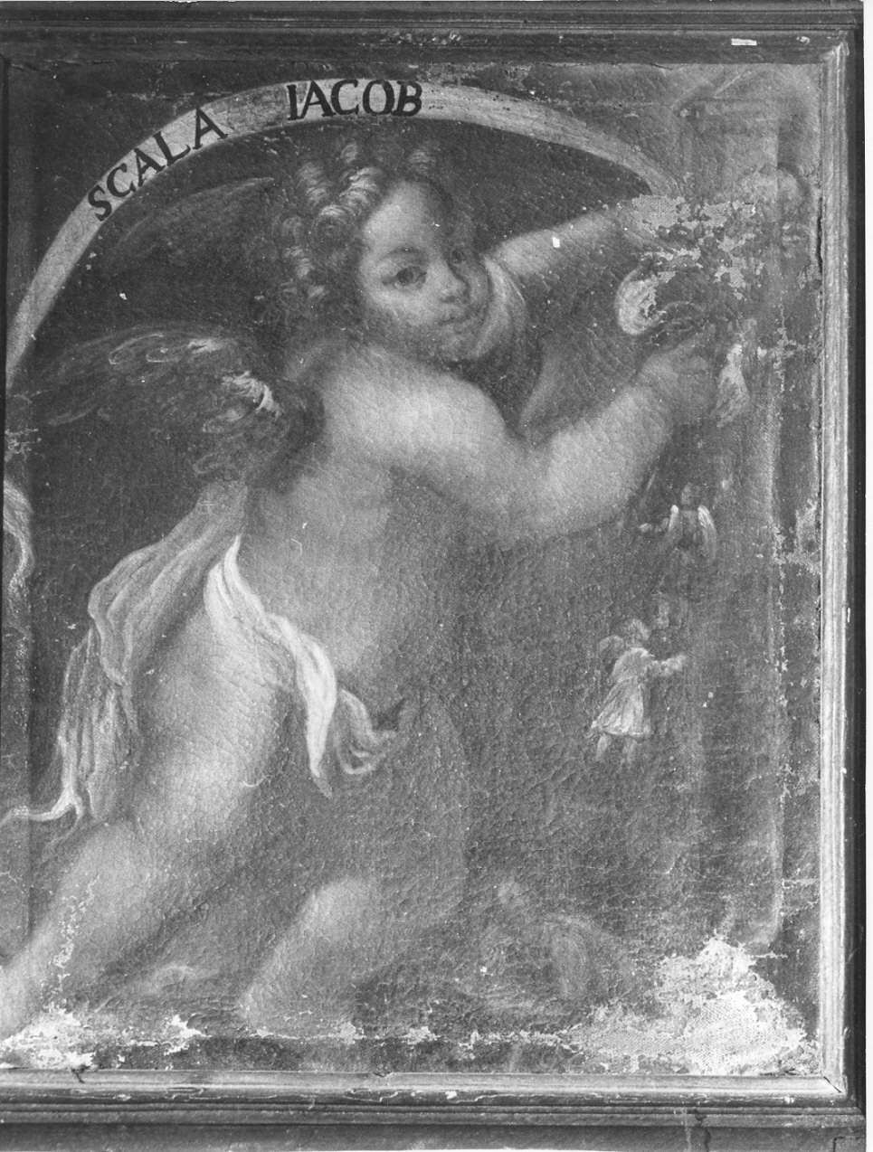 angeli (dipinto) - ambito lombardo (sec. XVII)