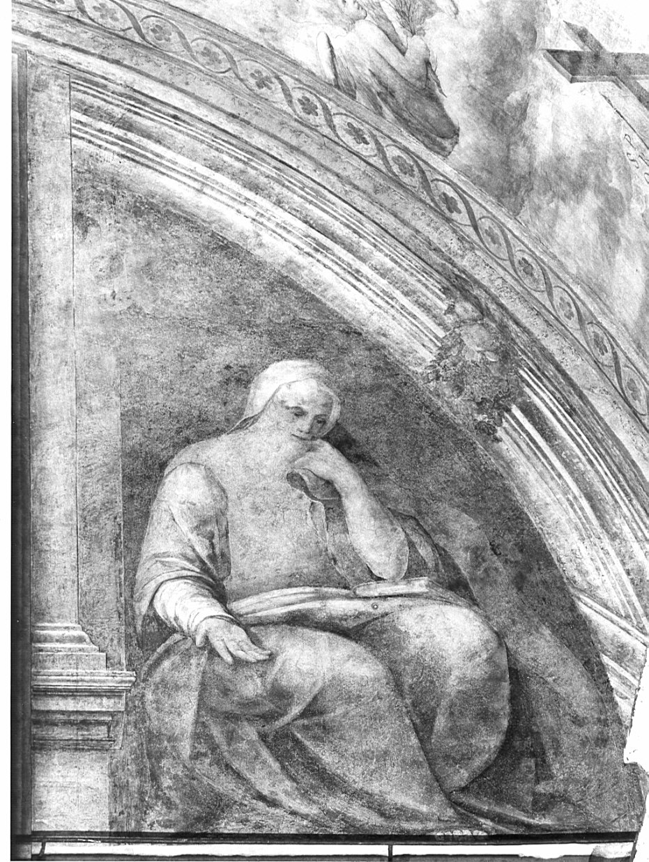 profeta (?) (decorazione pittorica, elemento d'insieme) di Caccia Guglielmo detto Moncalvo (primo quarto sec. XVII)