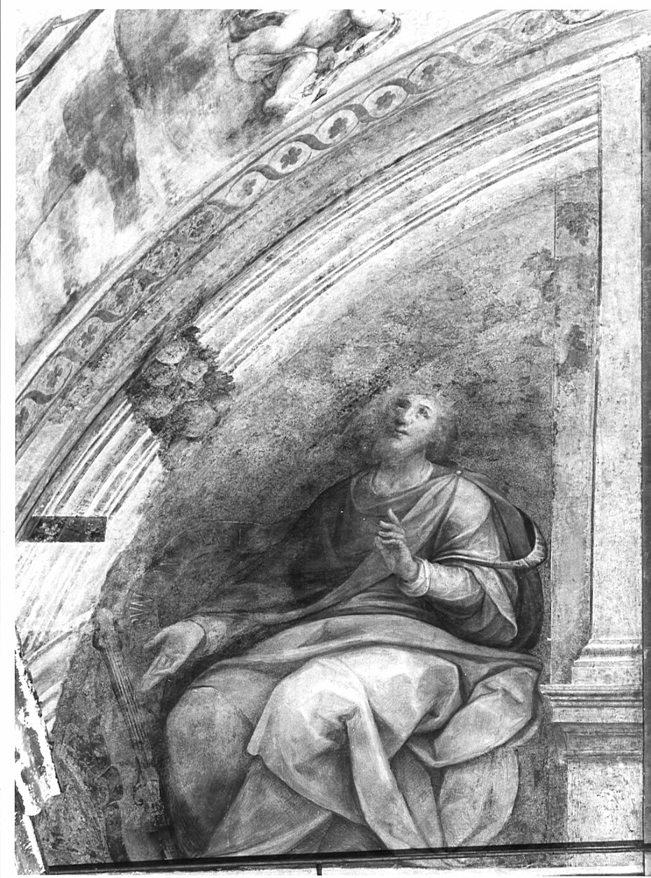 profeta (?) (decorazione pittorica, elemento d'insieme) di Caccia Guglielmo detto Moncalvo (primo quarto sec. XVII)
