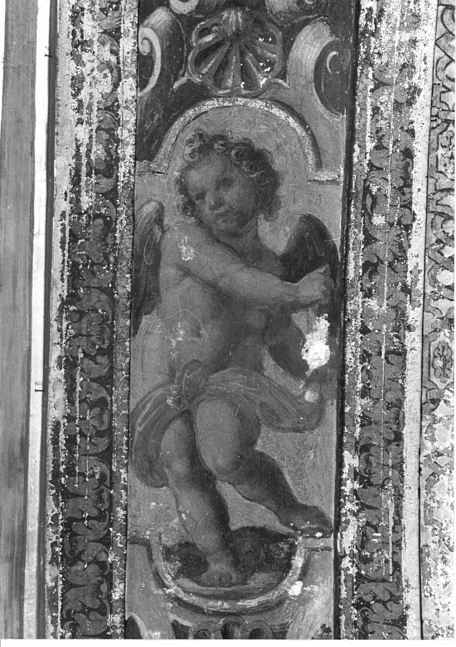 gloria di angeli (decorazione pittorica, ciclo) di Della Rovere Giovanni Mauro detto Fiammenghino (attribuito) (prima metà sec. XVII)