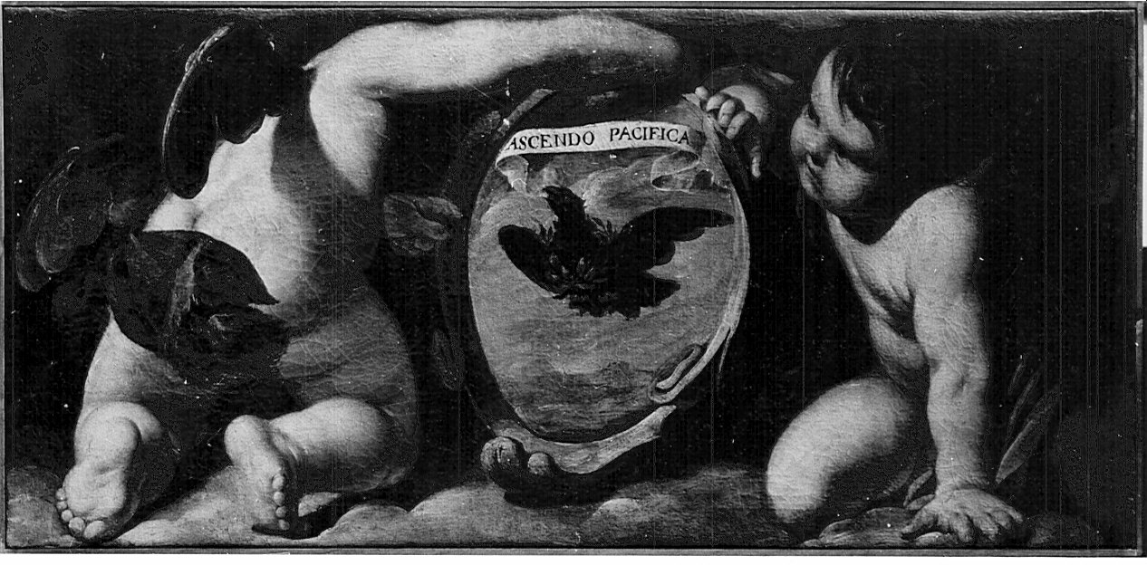 angeli reggistemma (dipinto, serie) di Gherardini Melchiorre detto Ceranino (attribuito) (sec. XVII)