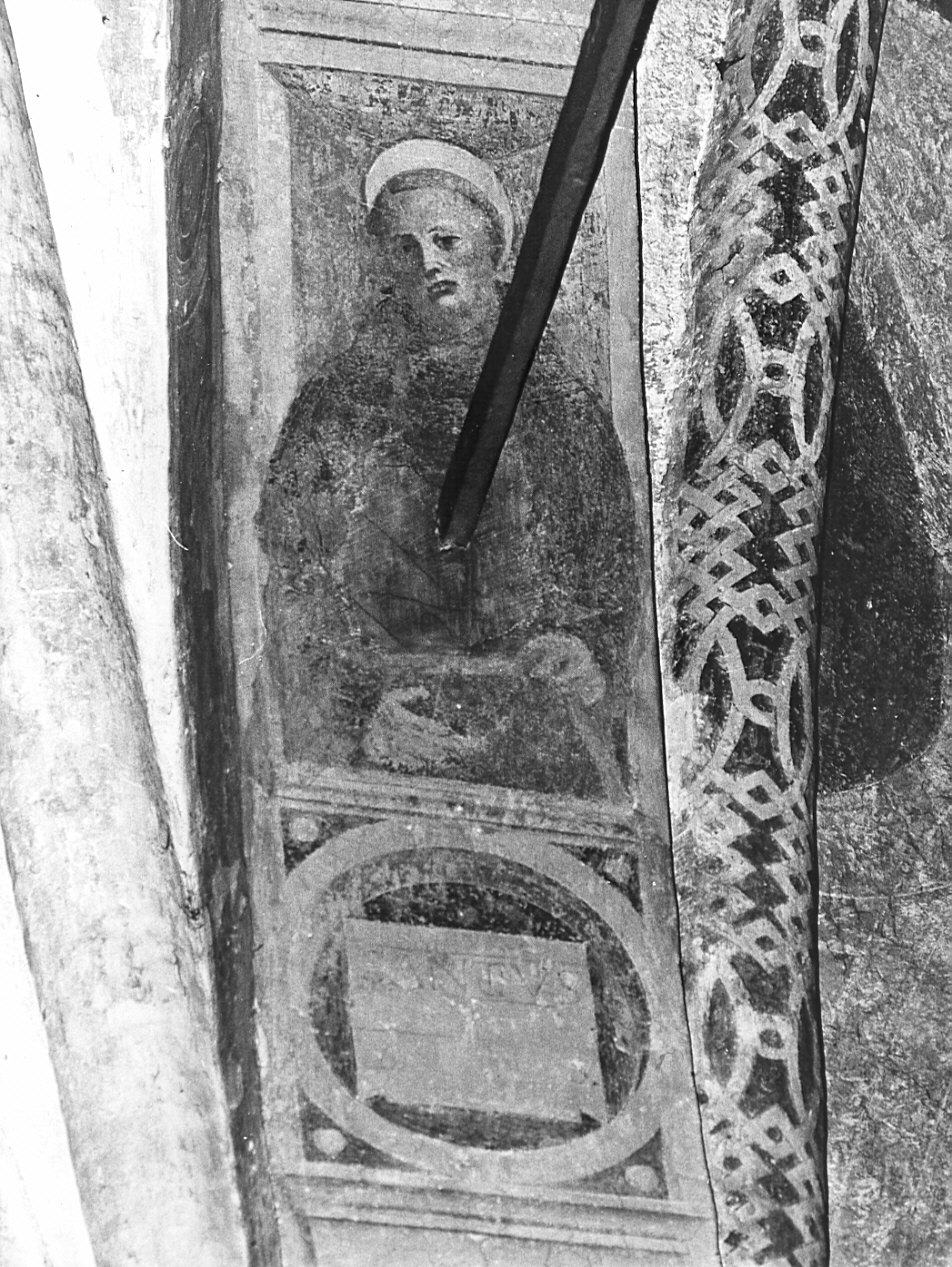 Santo monaco (dipinto, elemento d'insieme) di Butinone Bernardino, Zenale Bernardino (sec. XV)