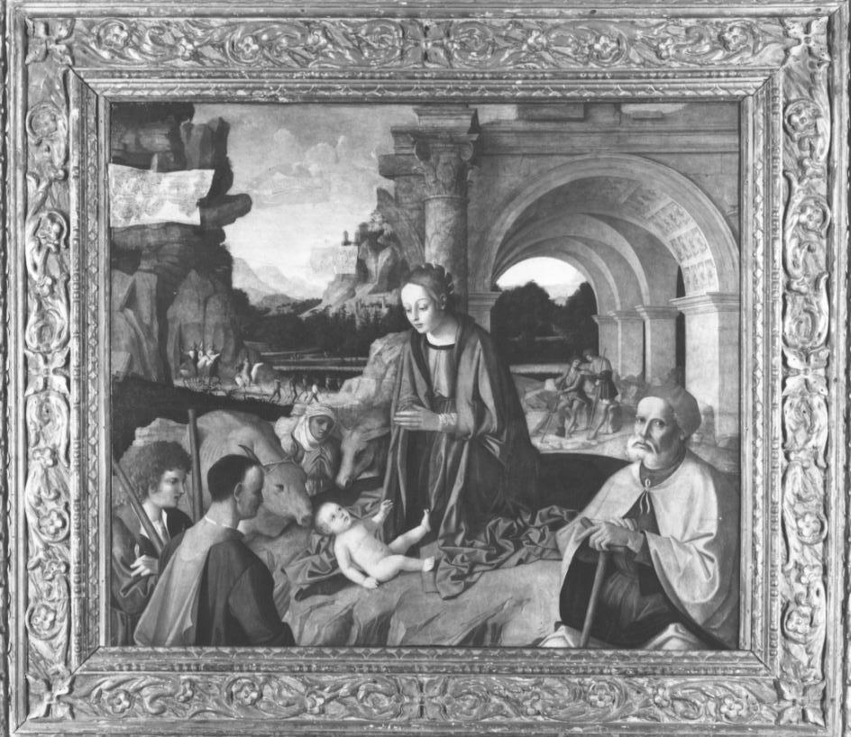Natività, natività di Gesù (dipinto, opera isolata) di Palmezzano Marco (sec. XVI)