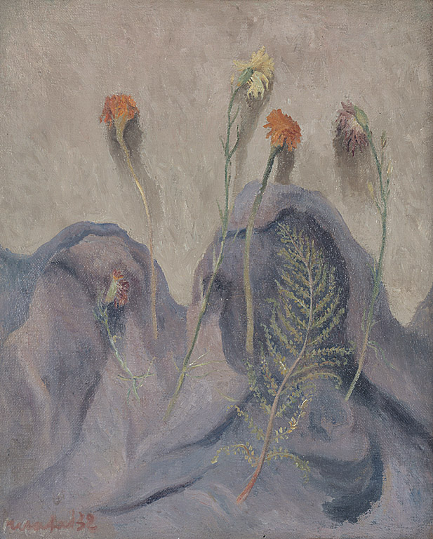 Fiori secchi, fiori (dipinto, opera isolata) di Mafai Mario (sec. XX)