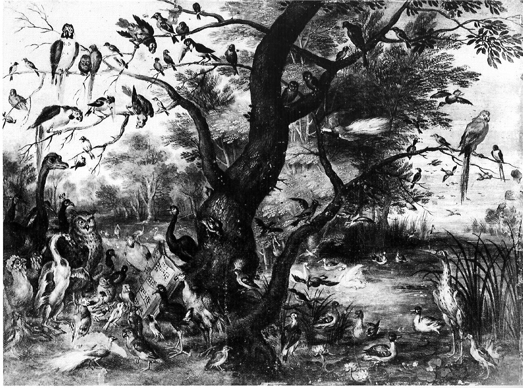 Convegno musicale di uccelli, uccelli (dipinto, opera isolata) di Van Kessel Jan (attribuito) (sec. XVII)