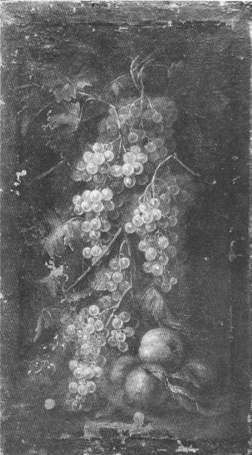 Natura morta di uva e fichi, natura morta con frutta (dipinto, opera isolata) di Gilardo da Lodi (sec. XVIII)