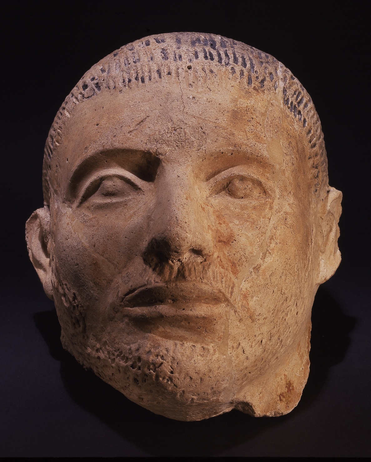 volto maschile (copritesta per mummia, opera isolata) - manifattura dell'Egitto romano (sec. II)